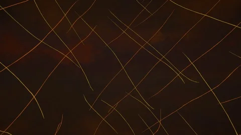 Painterly orange abstract looping background animation Stock Footage 73698023