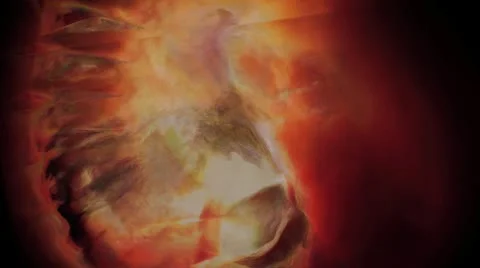 Painterly7 Stock Footage 10679652