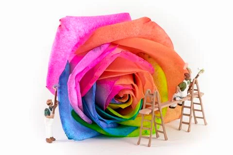 Painters Stock Photos