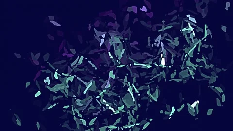 Painti form. animation squares moving fast	 Stock Footage 152175579