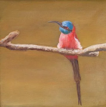Painting of carmine bee eater Stock Illustration