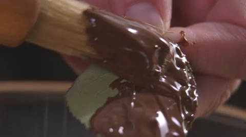 Painting a chocolate leaf Stock Footage 63993565