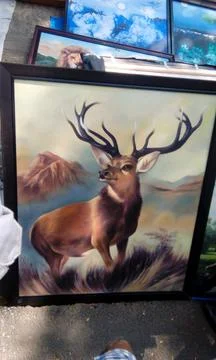 Painting of a Deer Stock Photos