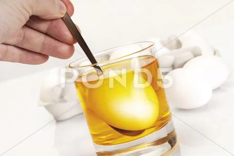 Painting easter eggs Stock Photos