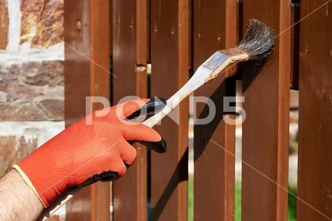 Painting a fence Stock Photos