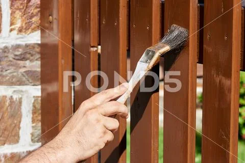 Painting a fence Stock Photos