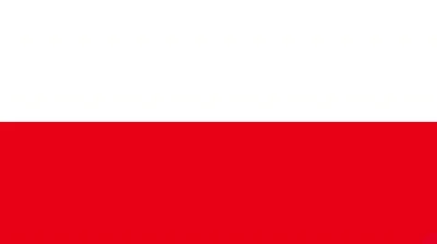 Painting Flag PL Video stock 10802950