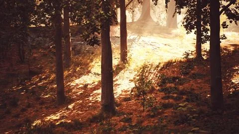 A painting of a forest with sun shining through the trees Stock Illustration