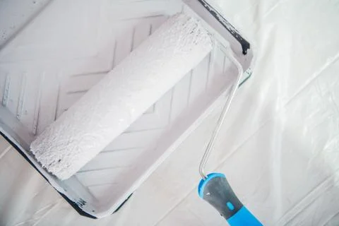 Painting Roller in the Paint Container. Refreshing Walls Concept. Photos