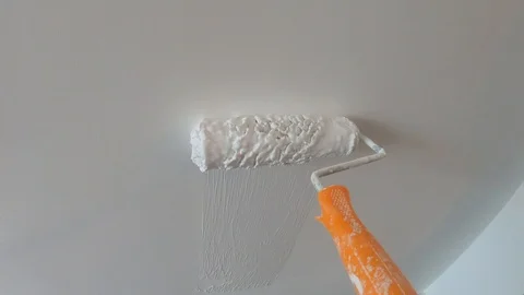 Painting the wall with roll painter Stock Footage 100267377