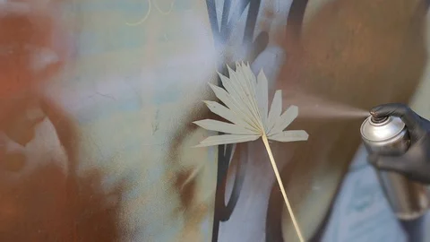 Painting wall with stencil in palm leaf shape Stock Footage 128806327