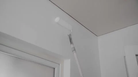 Painting the wall white with a special roller on the handle. Vidéo 246227592