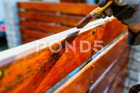 Painting a wooden fence - a brush close-up Stock Photos