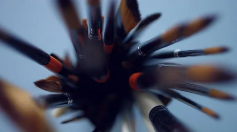 Paints and brushes on the table Stock Footage 47750687