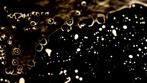 Paints Brown Video stock 72375621