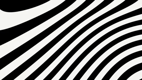 Paints  zebra animated VJ loop background Stock Footage 316691661
