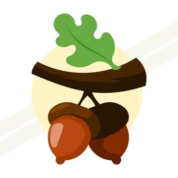 A-pair-of-acorns Stock Illustration