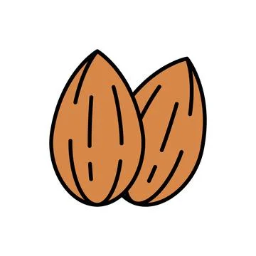 Pair of Almond Nuts Icon Vector Illustration Illustrazione stock