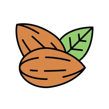 Pair of Almond Nuts with Leaf Filled Icon Stock Illustration