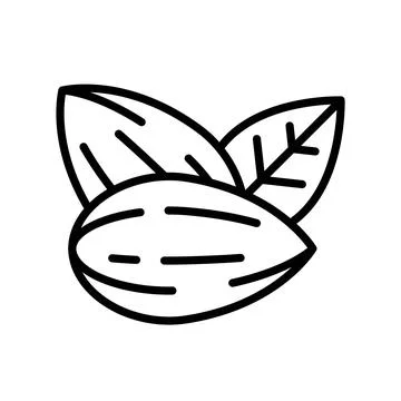 Pair of Almond Nuts with Leaf Outline Icon Stock Illustration