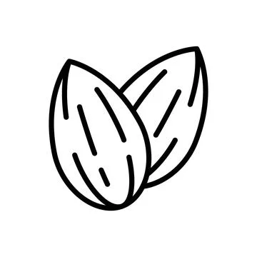 Pair of Almond Nuts Outline Icon Stock Illustration