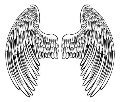 Pair of Angel or Eagle Wings Illustrazione stock