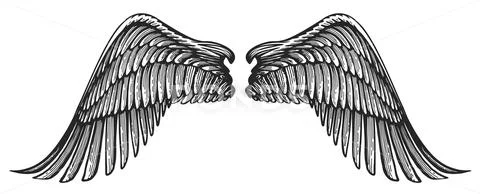 Pair of angel wings in vintage engraving style. Hand drawn heraldic ...