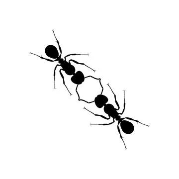 Pair of the Ant Silhouette Stock Illustration