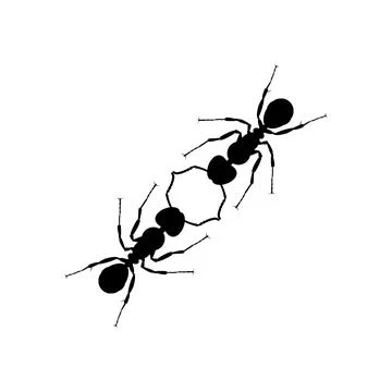 Pair of the Ant Silhouette Stock Illustration