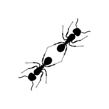 Pair of the Ant Silhouette Stock Illustration