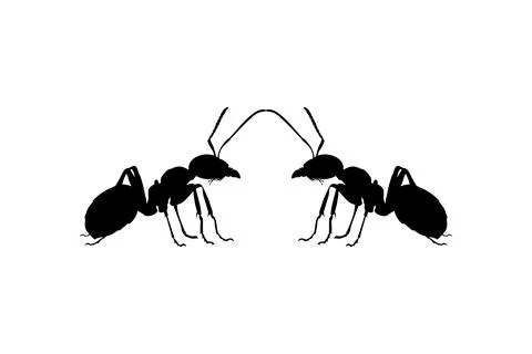 Pair of the Ant Silhouette Stock Illustration