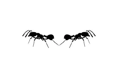 Pair of the Ant Silhouette Stock Illustration