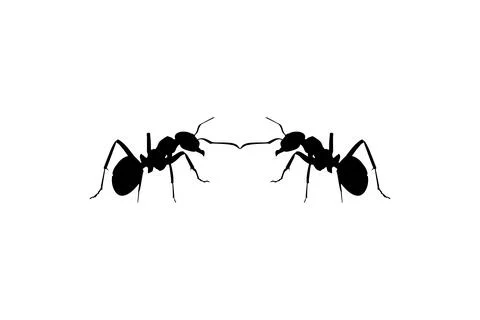 Pair of the Ant Silhouette Stock Illustration