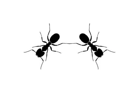 Pair of the Ant Silhouette Stock Illustration