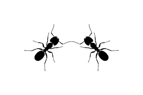 Pair of the Ant Silhouette Stock Illustration