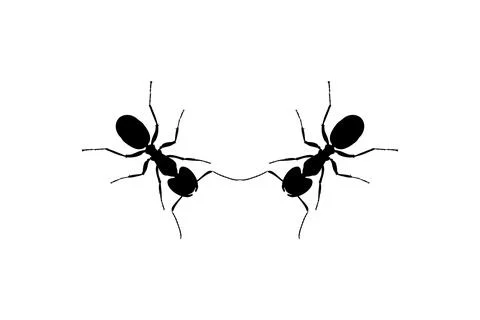 Pair of the Ant Silhouette Stock Illustration