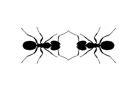 Pair of the Ant Silhouette Stock Illustration