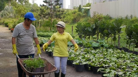 Pair of Asian Seniors Working in Garden Stock Footage