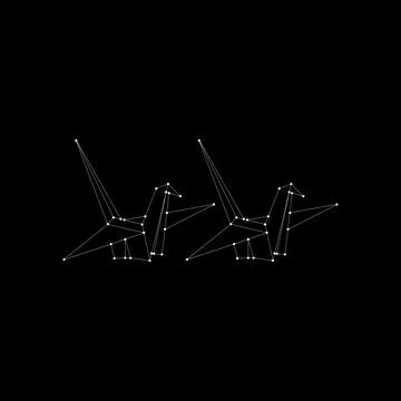 Pair Bird Polygonal Lines Ilustração Stock