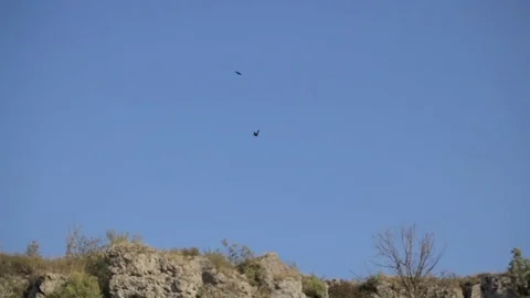 Pair of birds soar high in the sky above the rocks. The concept of respect for Stock Footage 82259666