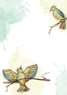 A pair of birds on a tree branch, on a white background, a template for a Ilustração Stock