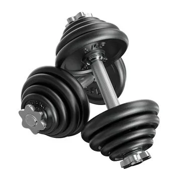 Pair of black adjustable dumbbells, weightlifting gym equipment, side view Ilustração Stock