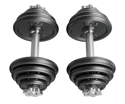 Pair of black adjustable dumbbells, weightlifting gym equipment, side view Ilustração Stock