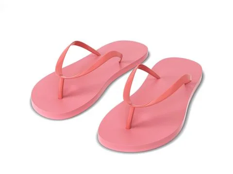 Pair of blank flip flops 스톡 일러스트