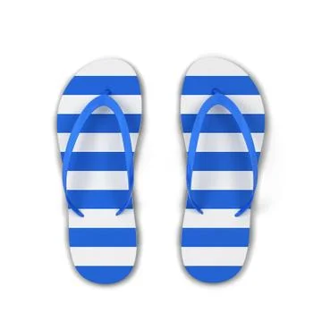 Pair of blank flip flops Stock Illustration