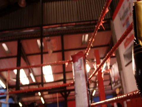 Pair of boxing gloves hanging on boxing ring Video stock 72303071