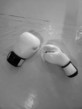 Pair of boxing gloves on the mat Stock Photos