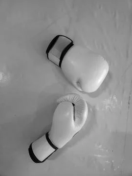 Pair of boxing gloves on the mat Stock Photos