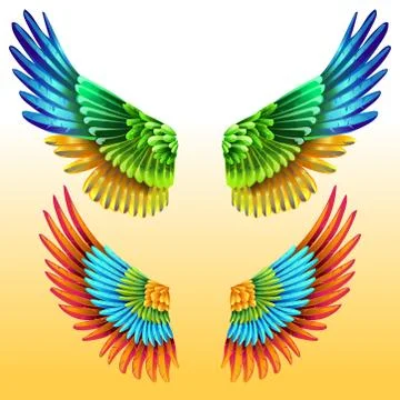 Pair of bright Colourful Wings Stock Illustration
