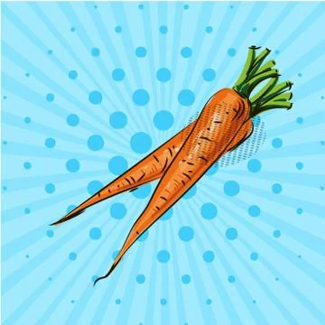 A pair of carrots on a blue background. Vector illustration. Hand drawn on style Stock Illustration